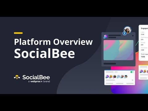SocialBee Overview 2025 | Social Media Management Tool