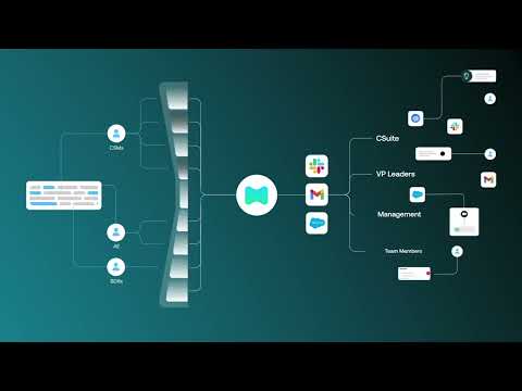 Momentum Overview