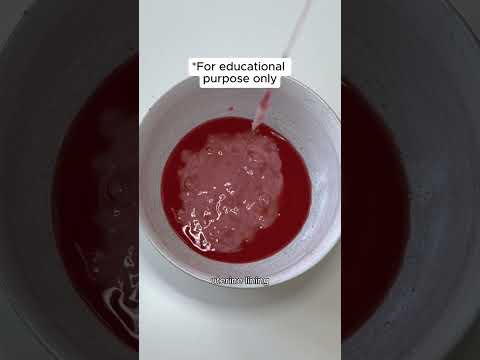 Flo App: What Is Period Blood Made of?
