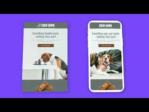 Campaign Monitor UI Video