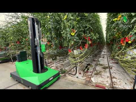 Aisprid at GreenTech Amsterdam 2026: See the deleafing robot working in real greenhouse conditions