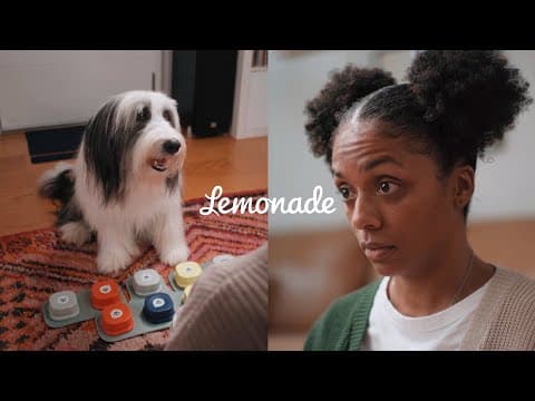 Lemonade Pet Insurance - If Your Pet Could Talk