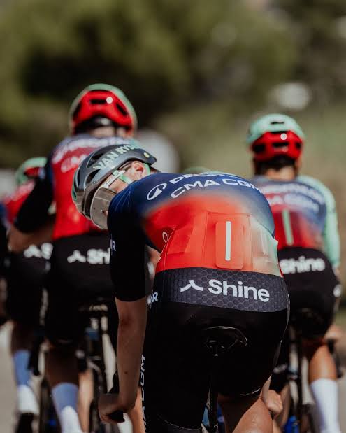 Shine, en interne